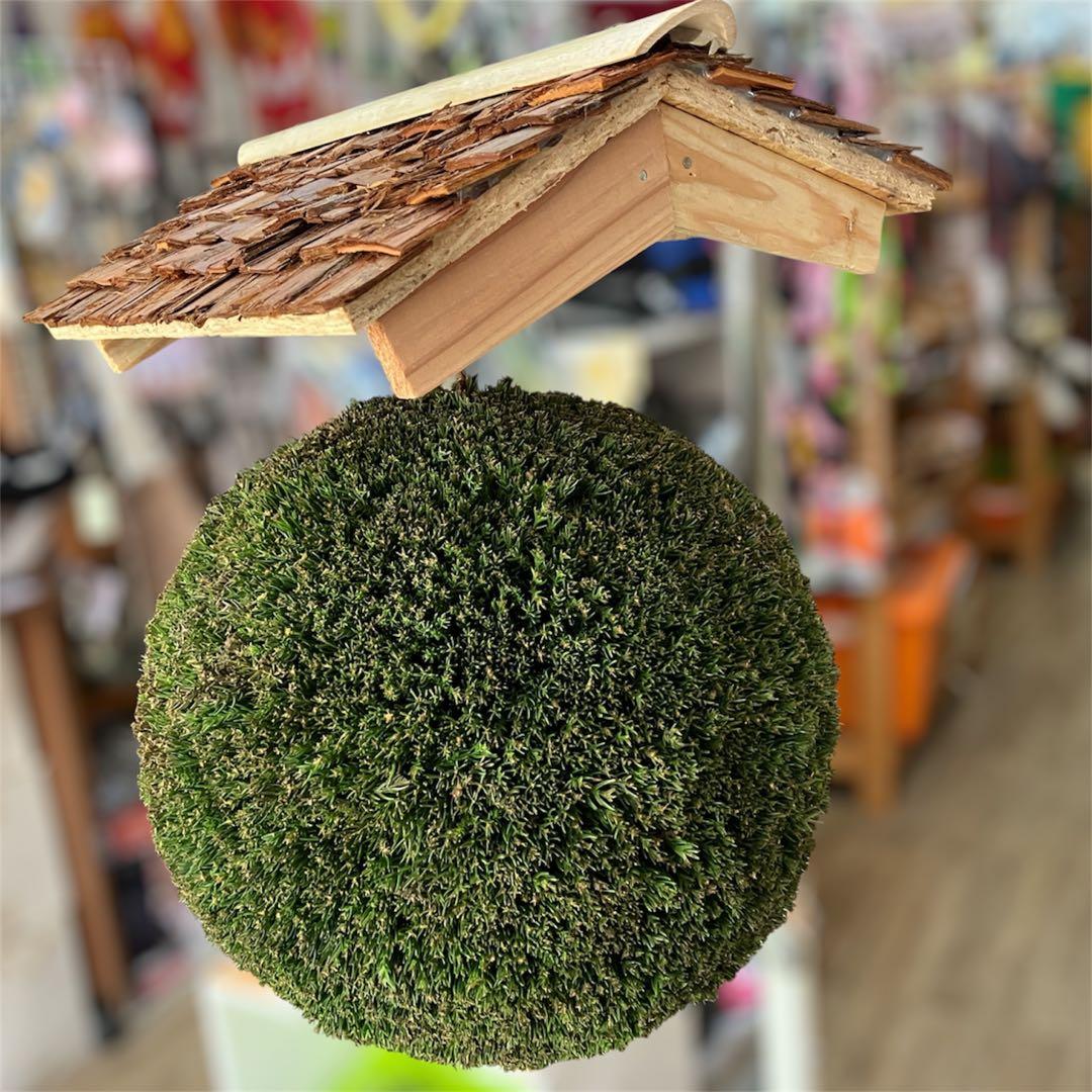 杉玉【屋根付き】⑤