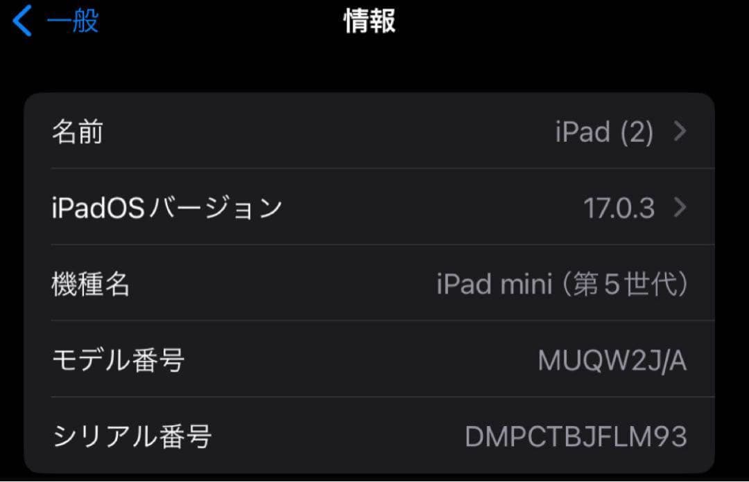 【美品】バッテリー92% iPad mini 第5世代 64GB Wi-Fi