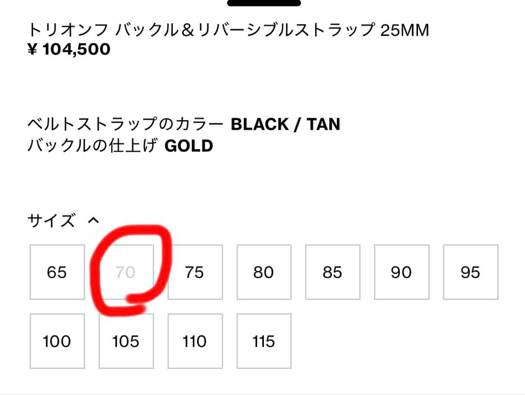 Celine トリオンフ バックル＆リバーシブルストラップ 25MM セリーヌ