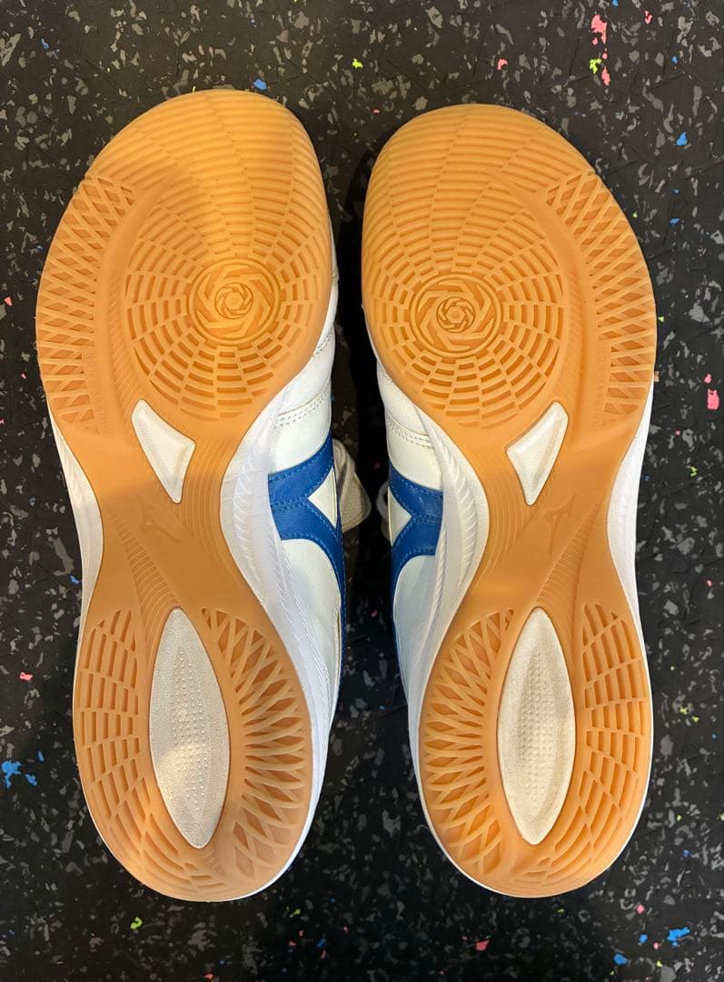 モレリア　サラ　pro 26cm フットサルシューズ