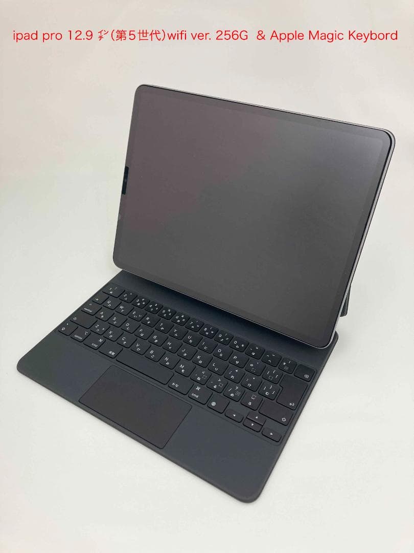 iPad Pro 12.9インチ (第5世代) 256GB Wi-Fi & Ma