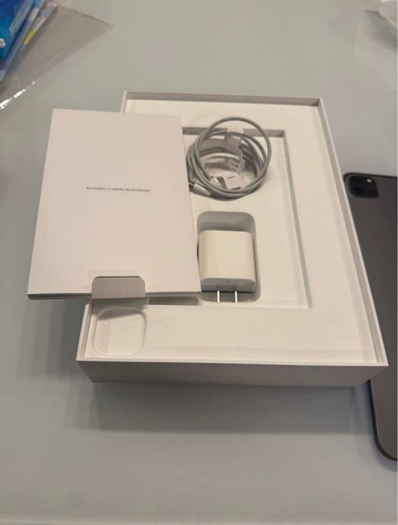 iPad Pro11 256G+Apple Pencil 値下げ交渉○