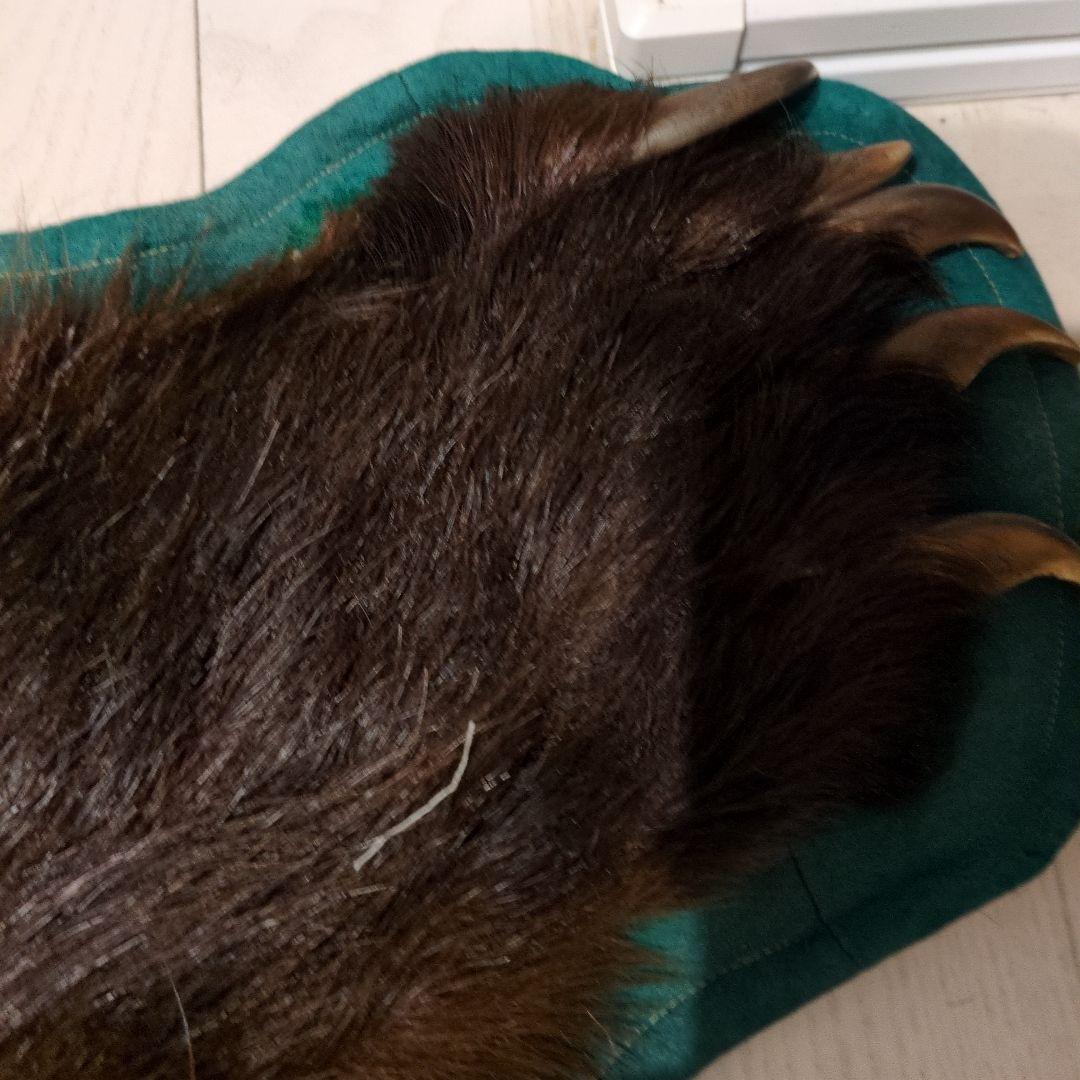 クマの毛皮ラグ ブラウン グリーン縁取り