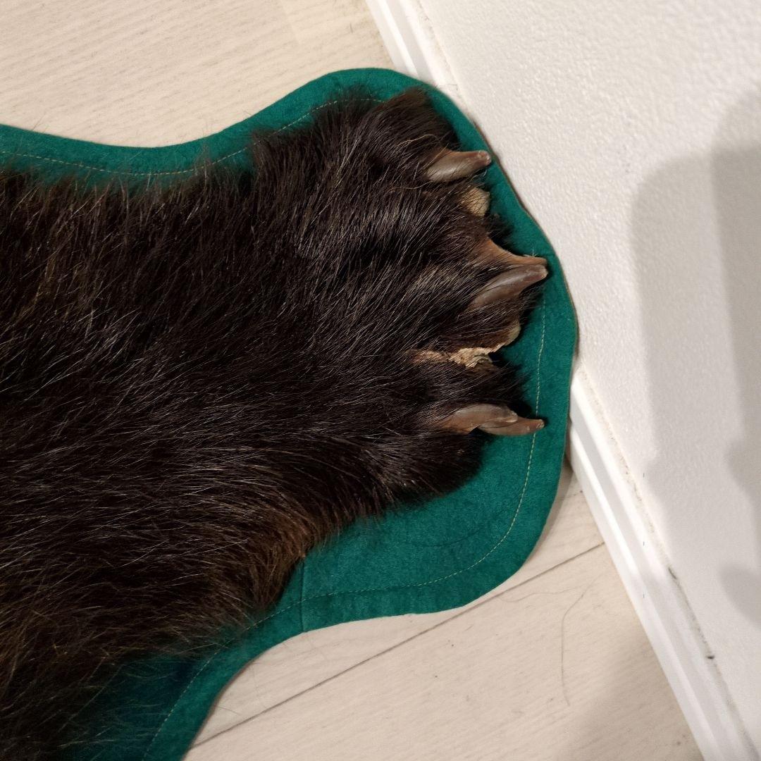 クマの毛皮ラグ ブラウン グリーン縁取り