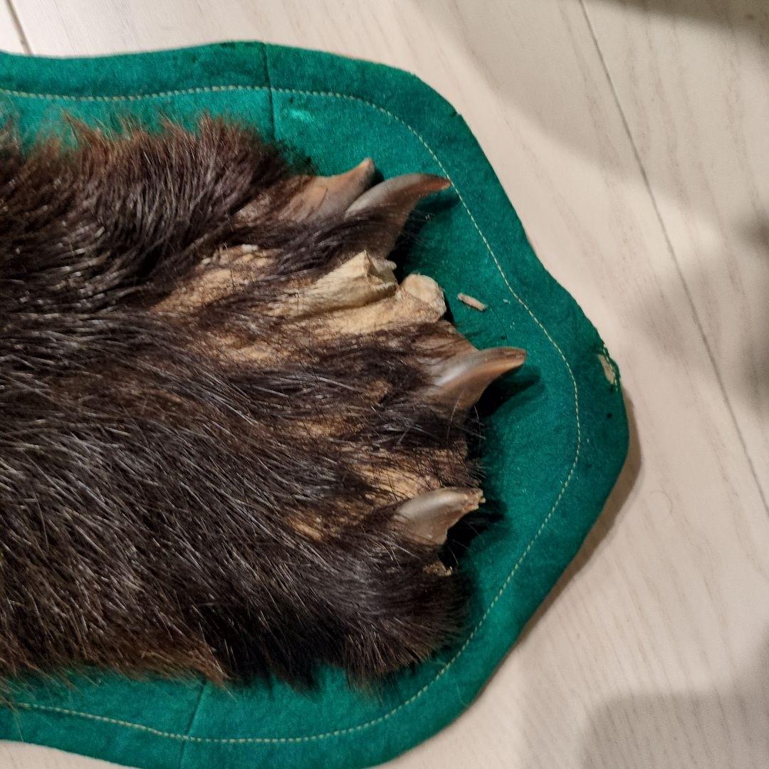 クマの毛皮ラグ ブラウン グリーン縁取り