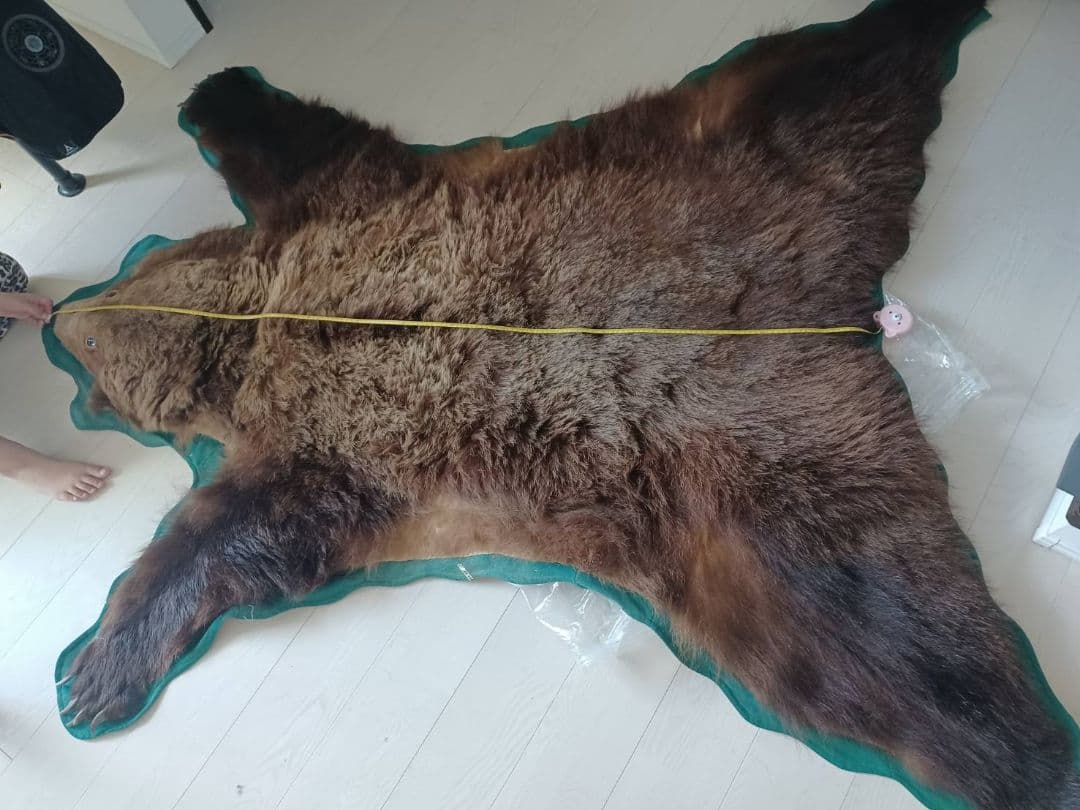クマの毛皮ラグ ブラウン グリーン縁取り