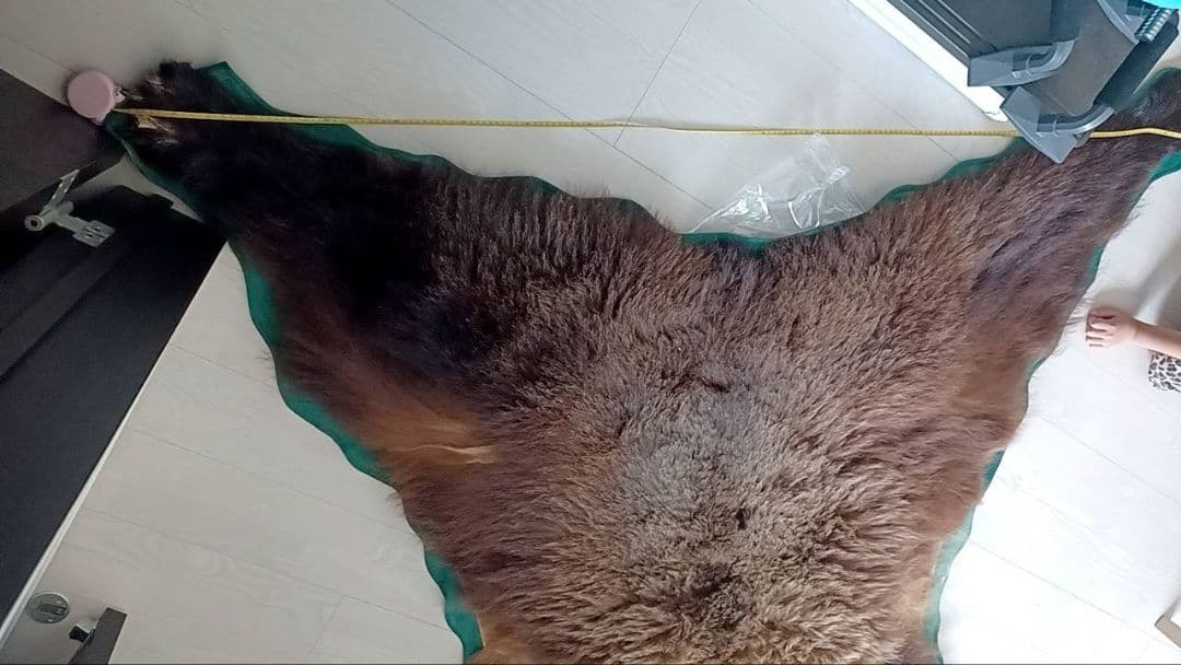 クマの毛皮ラグ ブラウン グリーン縁取り