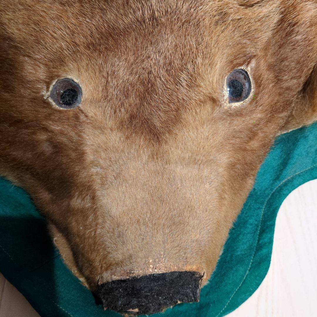 クマの毛皮ラグ ブラウン グリーン縁取り