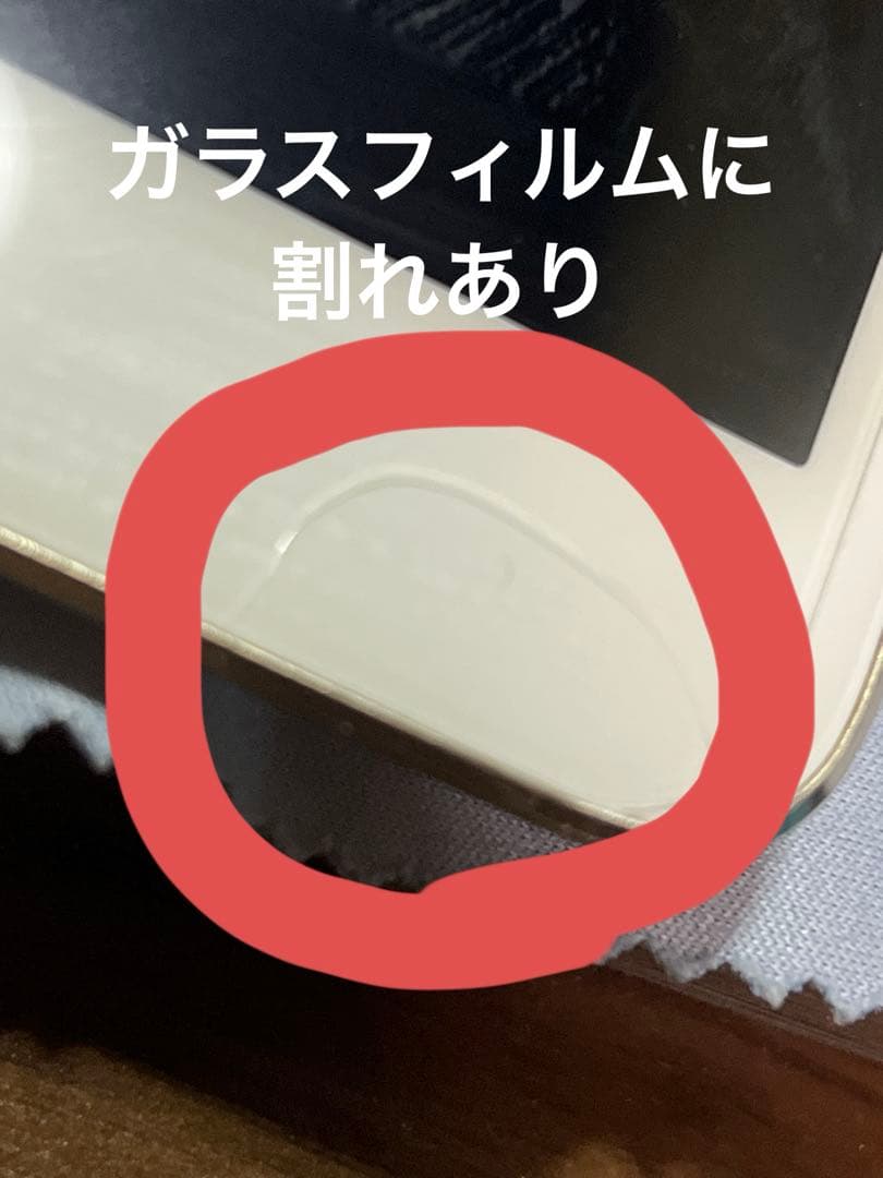 Apple iPadPro 初代 10.5inch 256GB ゴールド