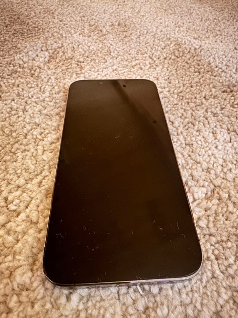 iPhone 13 Pro 256G 起動不可 リンゴループ　ジャンク