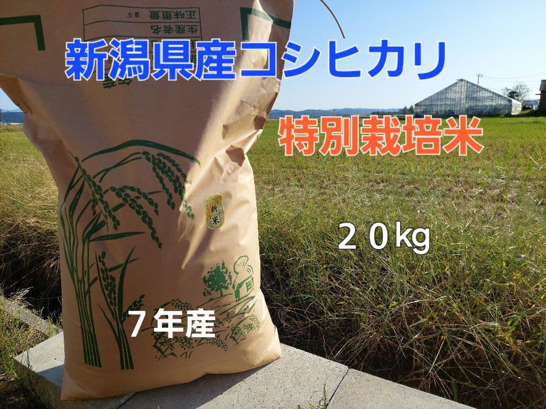 新潟県産 コシヒカリ 特別栽培米 20kg　７年産
