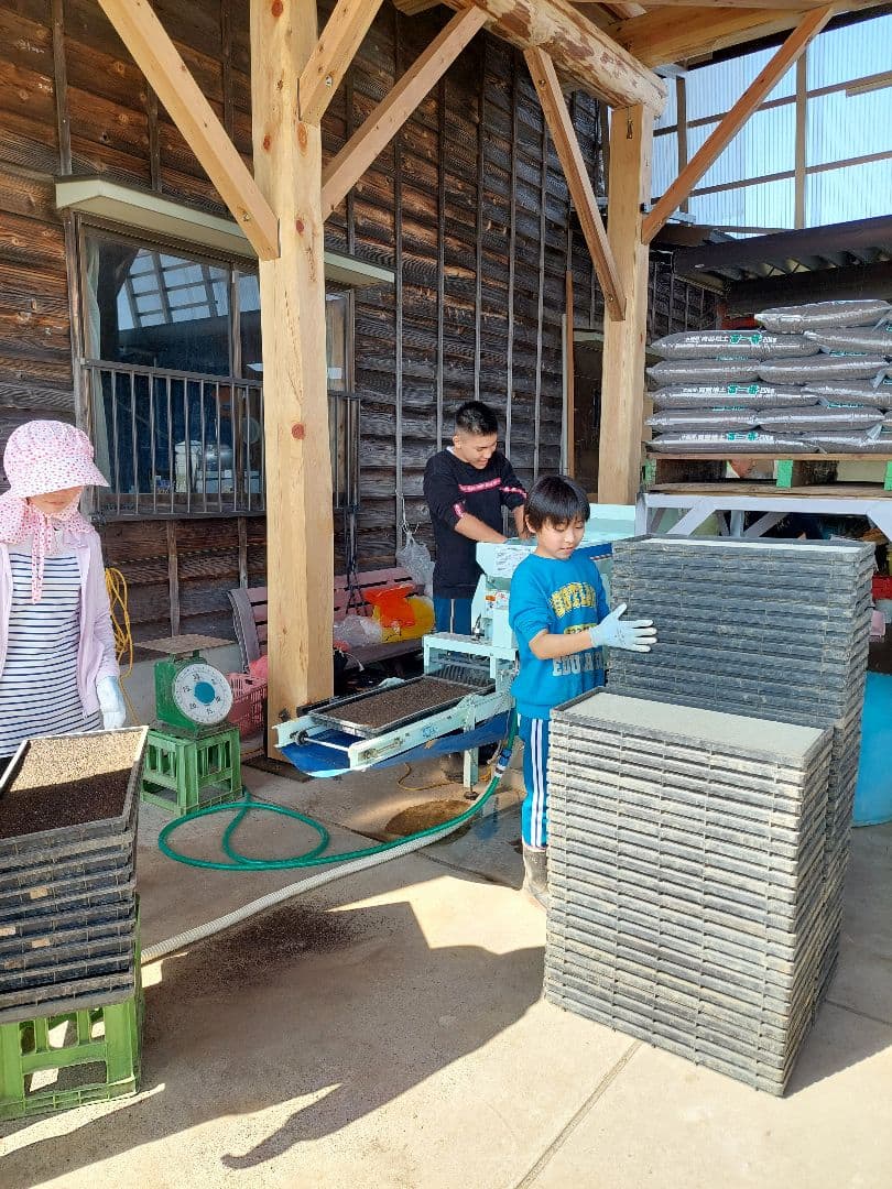 新潟県産 コシヒカリ 特別栽培米 20kg　７年産