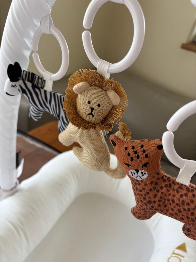 DockATot ドッカトット　デラックス トイアーチ付き