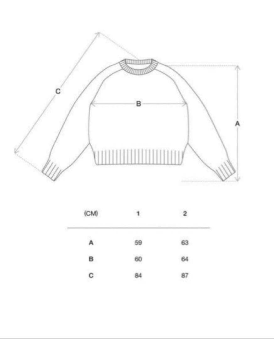 simply complicated ニット size1