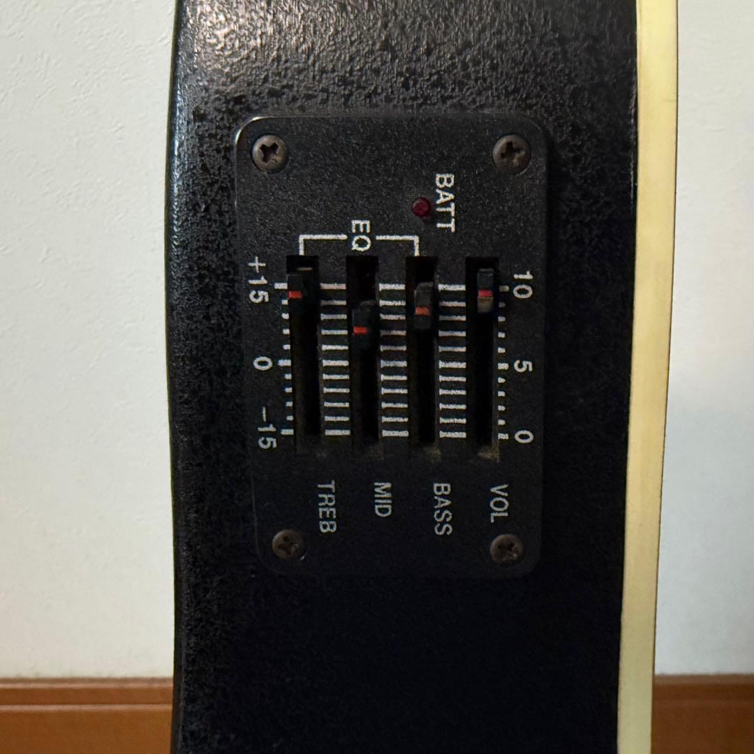 Legend(レジェンド) LMB-25 エレアコ ケース ピック カポタスト付