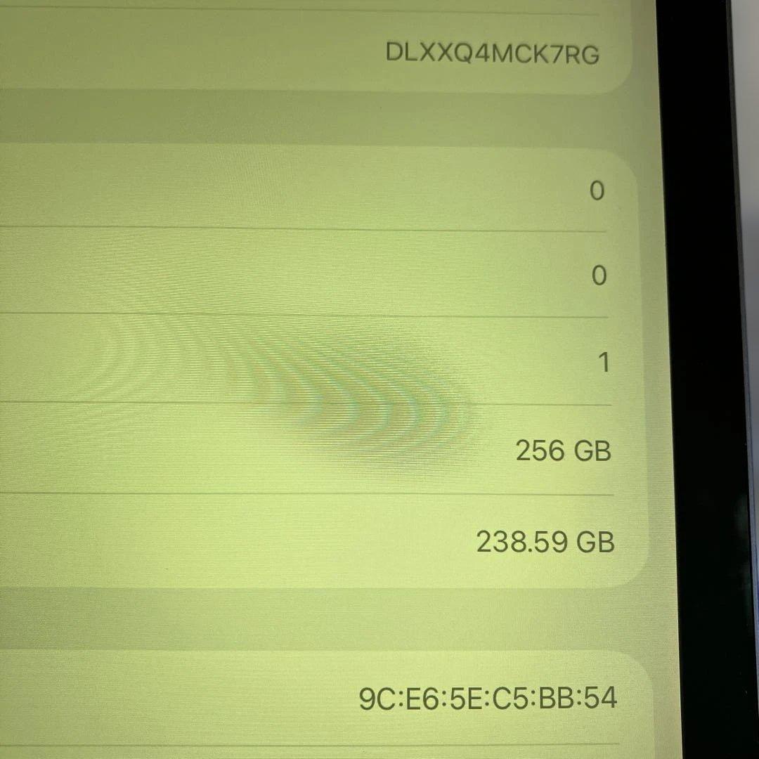 iPad Pro (12.9-inch) 3rd 256GB ジャンク