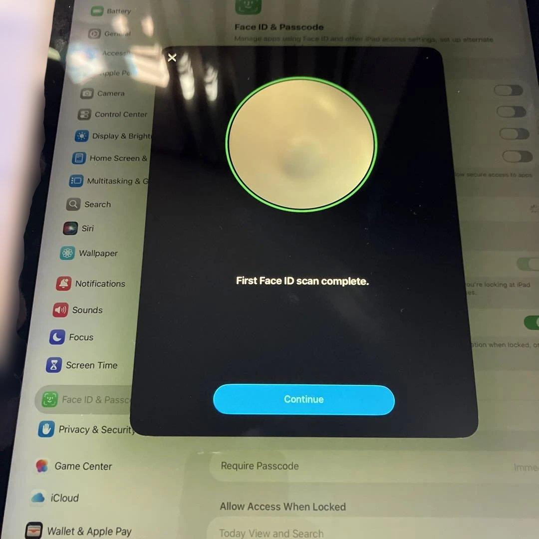 iPad Pro (12.9-inch) 3rd 256GB ジャンク