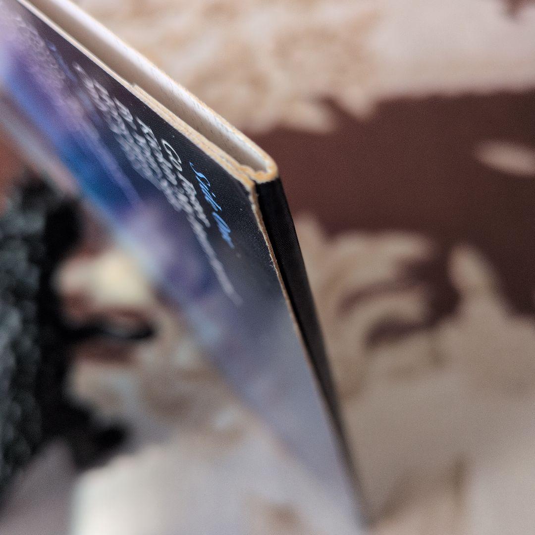 THE BLACK CROWES「By Your Side」