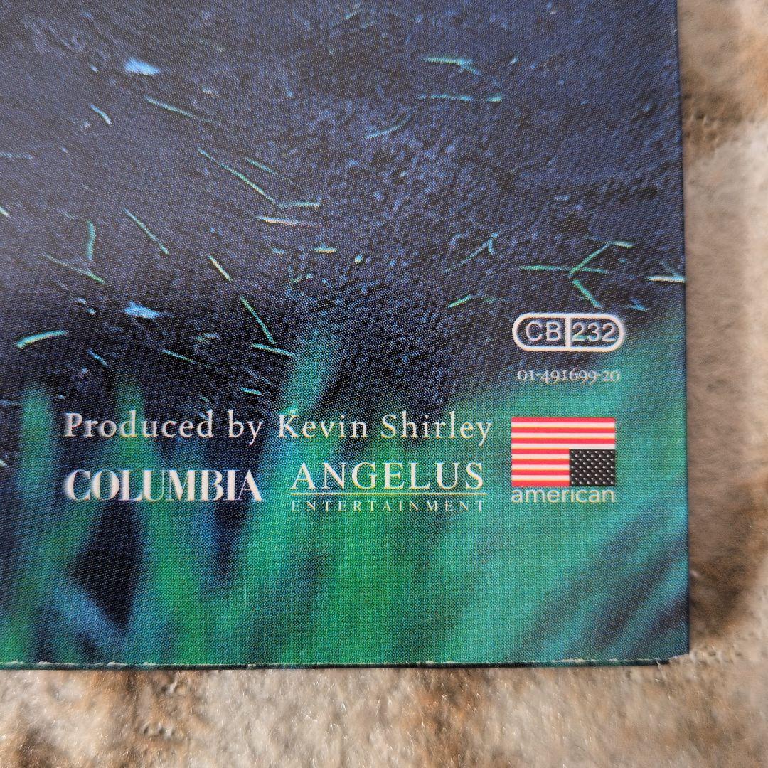 THE BLACK CROWES「By Your Side」