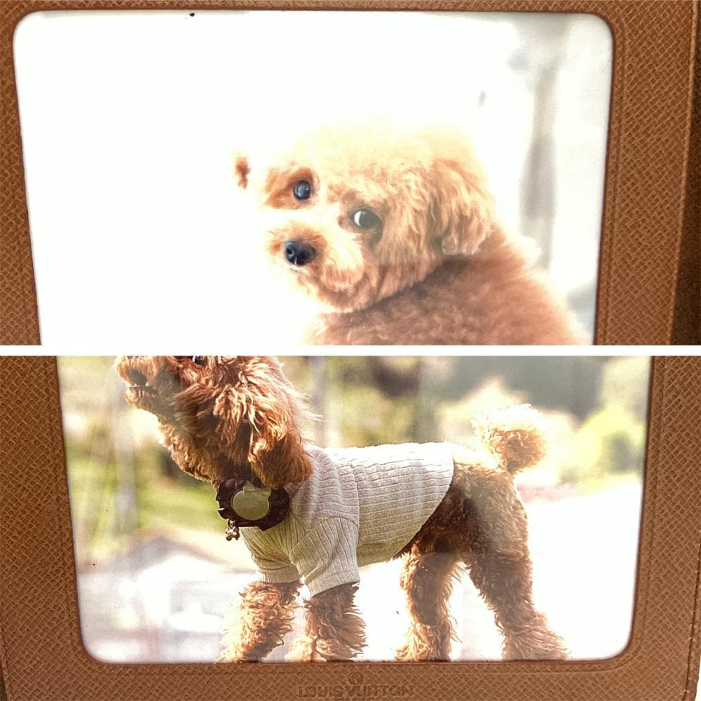 ルイヴィトン モノグラム フォトフレーム 写真立て フォトケース 激レア 137