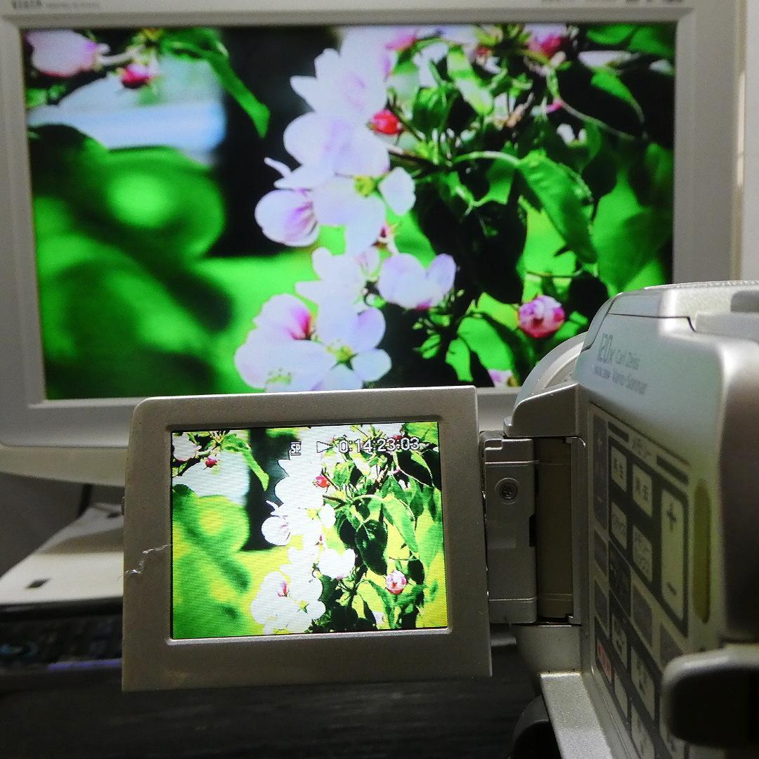 動作品 ソニーDCR-PC110 MiniDV ビデオカメラ DVDダビングに