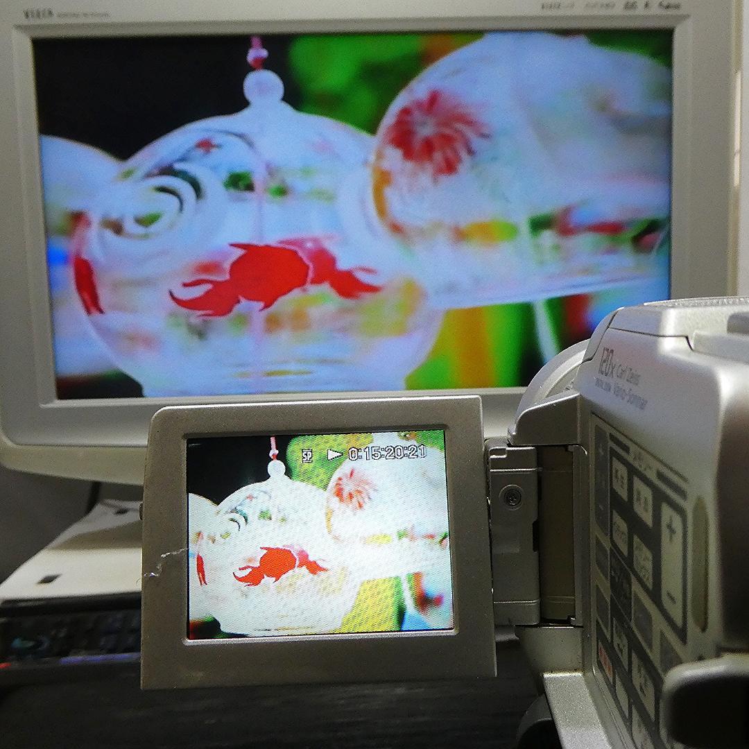 動作品 ソニーDCR-PC110 MiniDV ビデオカメラ DVDダビングに