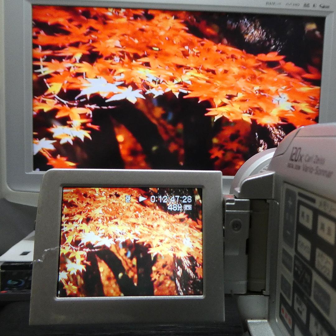 動作品 ソニーDCR-PC110 MiniDV ビデオカメラ DVDダビングに