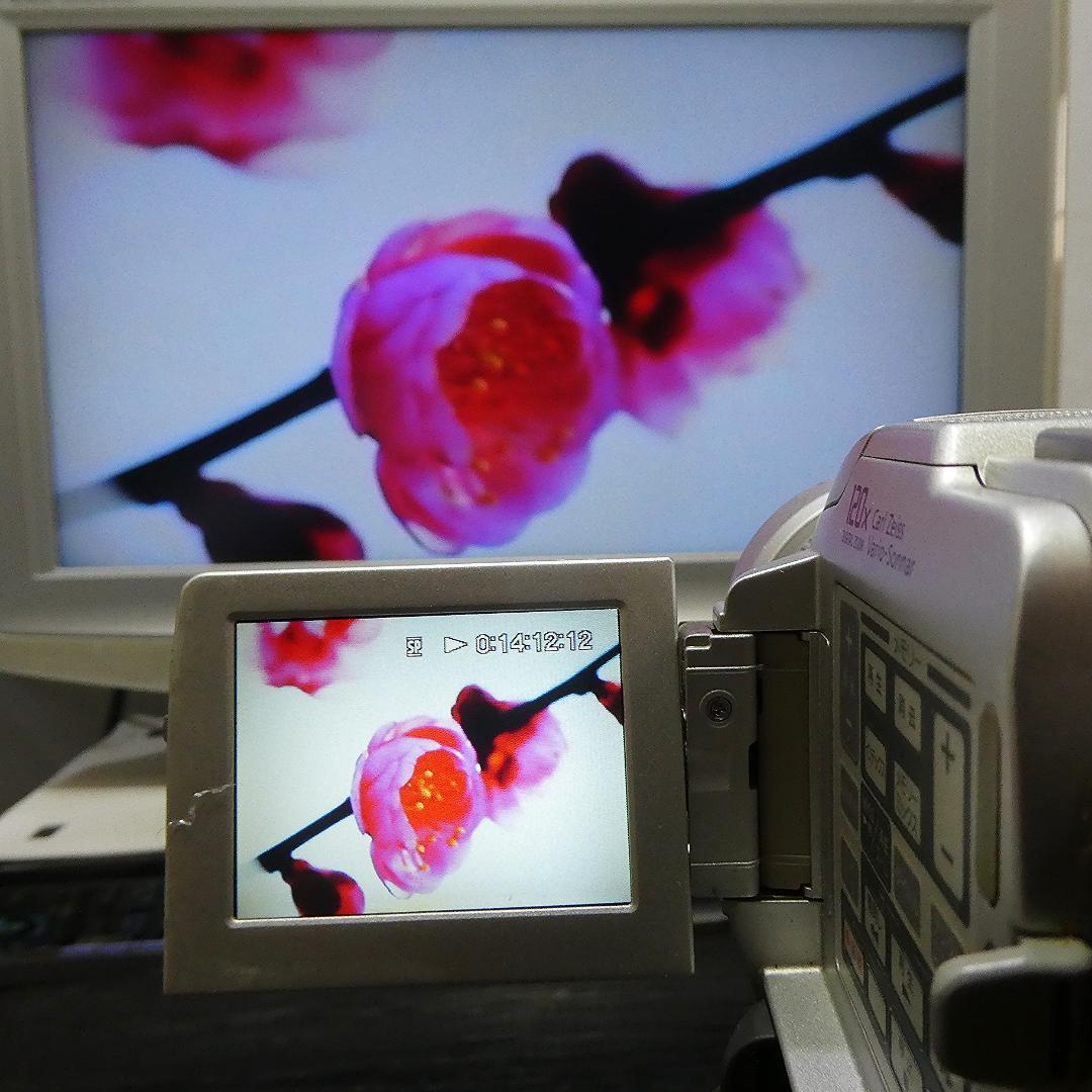 動作品 ソニーDCR-PC110 MiniDV ビデオカメラ DVDダビングに