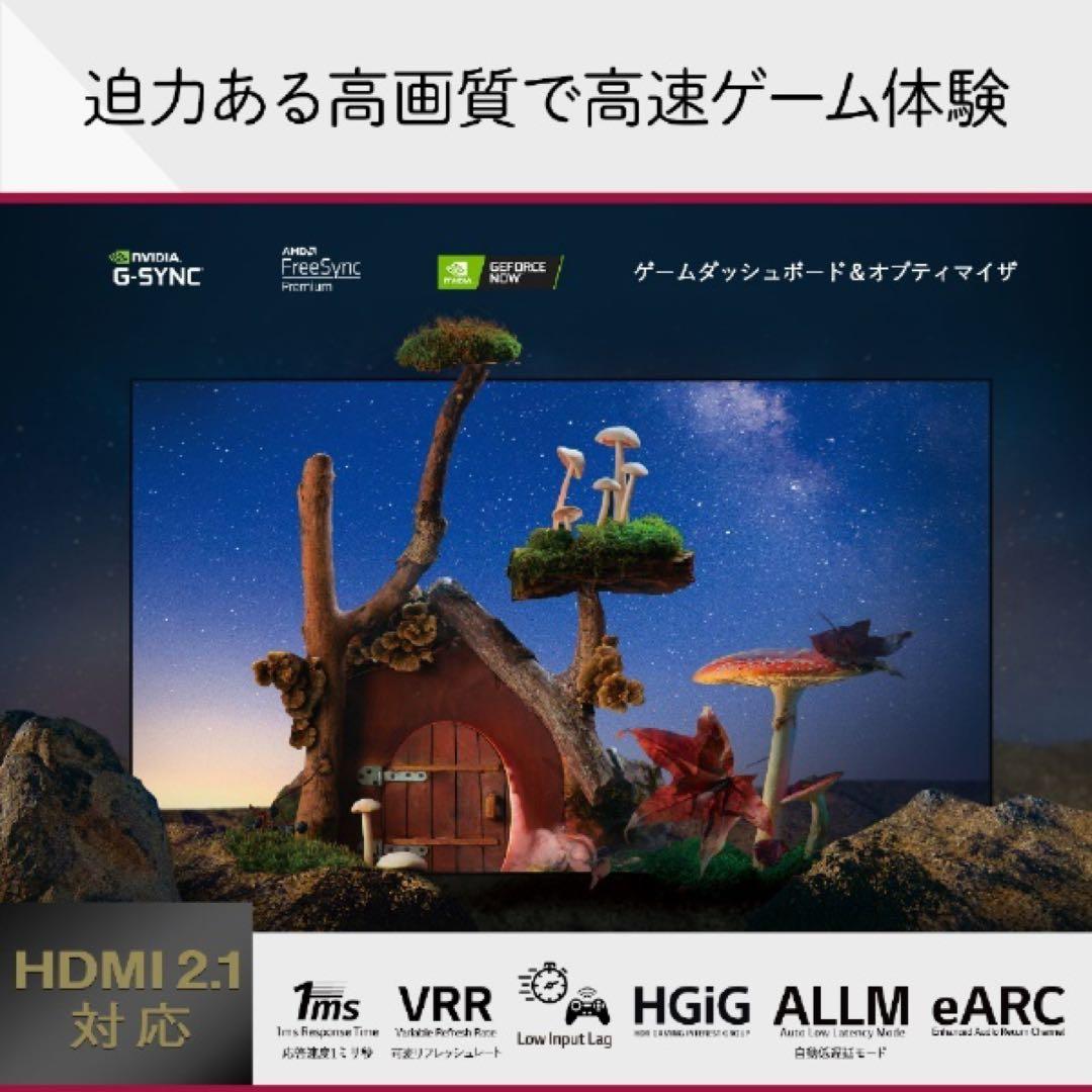 有機ELテレビ  55V型 4KBS・CS 4Kチューナー