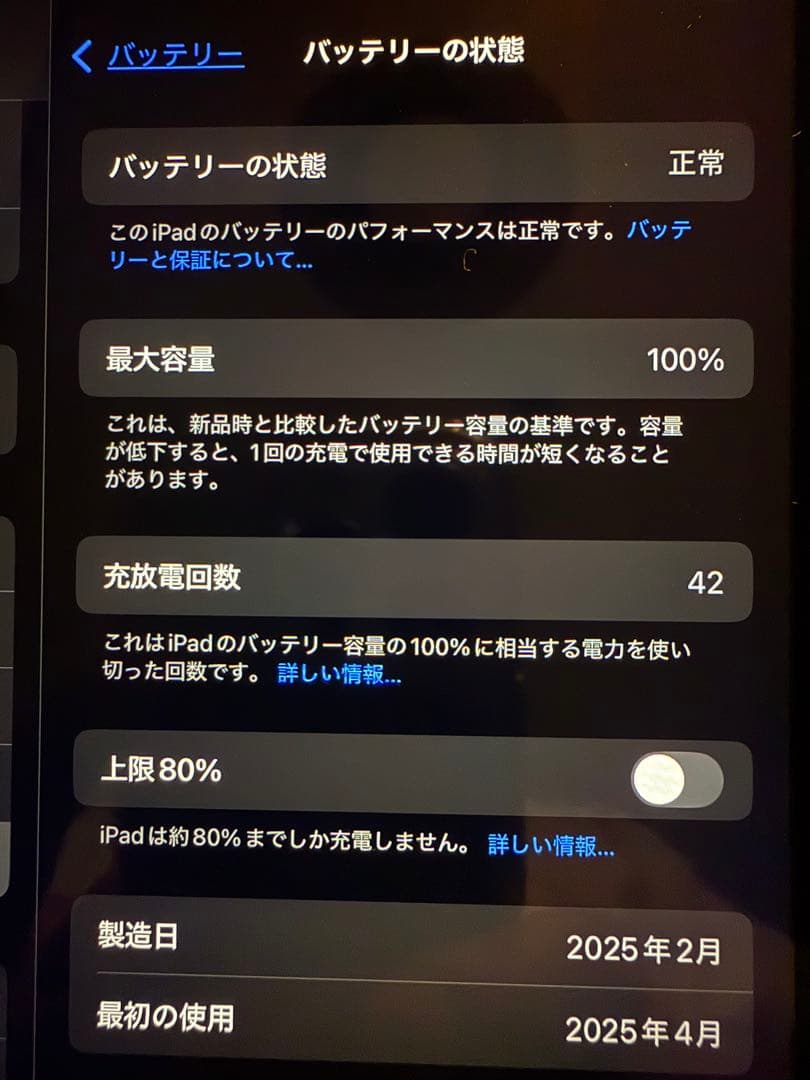 iPad本体 iPad mini A17 Pro Wi-Fi + Cellular 128GB