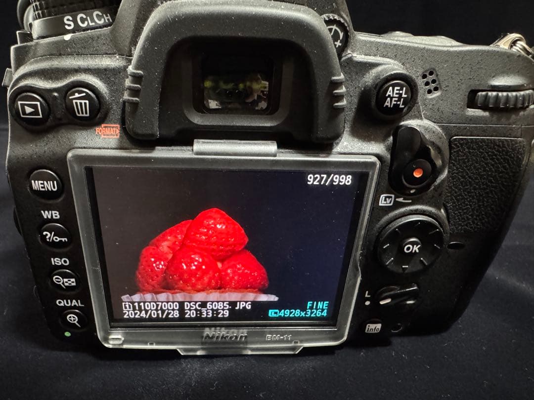 Nikon D7000+ AF MICRO 60mm+ SB-29s 歯科技工