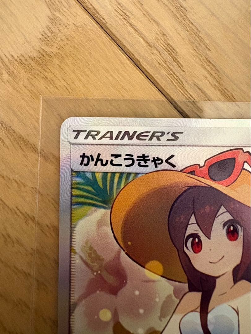 【美品】かんこうきゃく SR SM12a