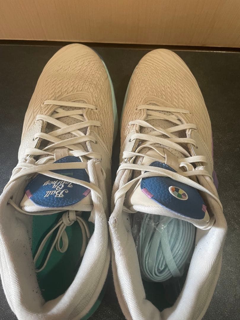 asics アンプレアルス　ボーラホリック