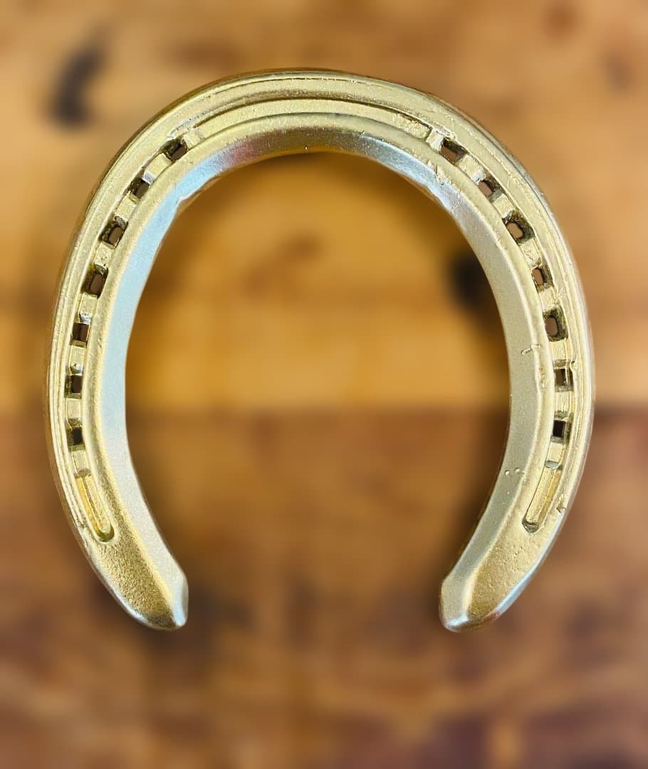 【幸運の金の蹄鉄】