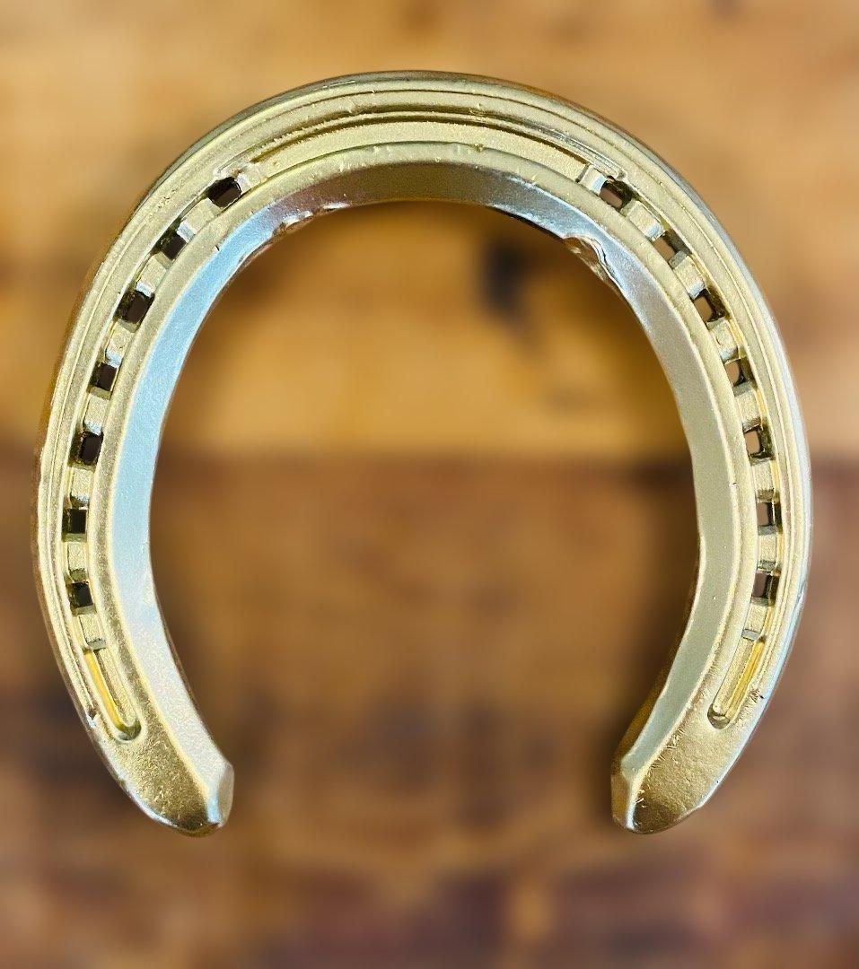 【幸運の金の蹄鉄】