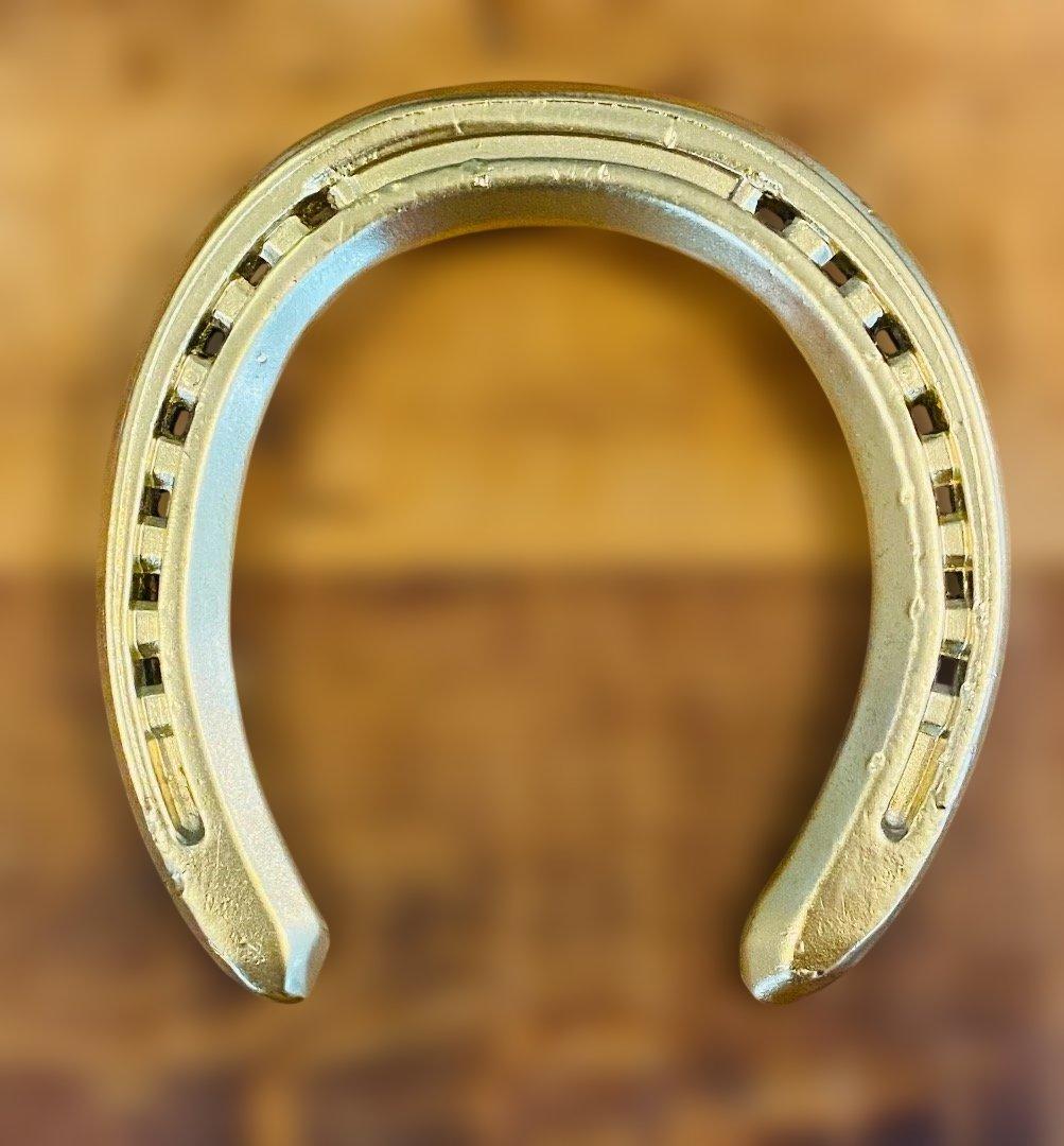 【幸運の金の蹄鉄】