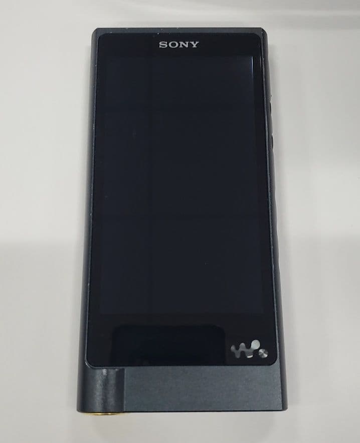 ソニー SONY NW-ZX2 ソニー純正充電ケーブル付き