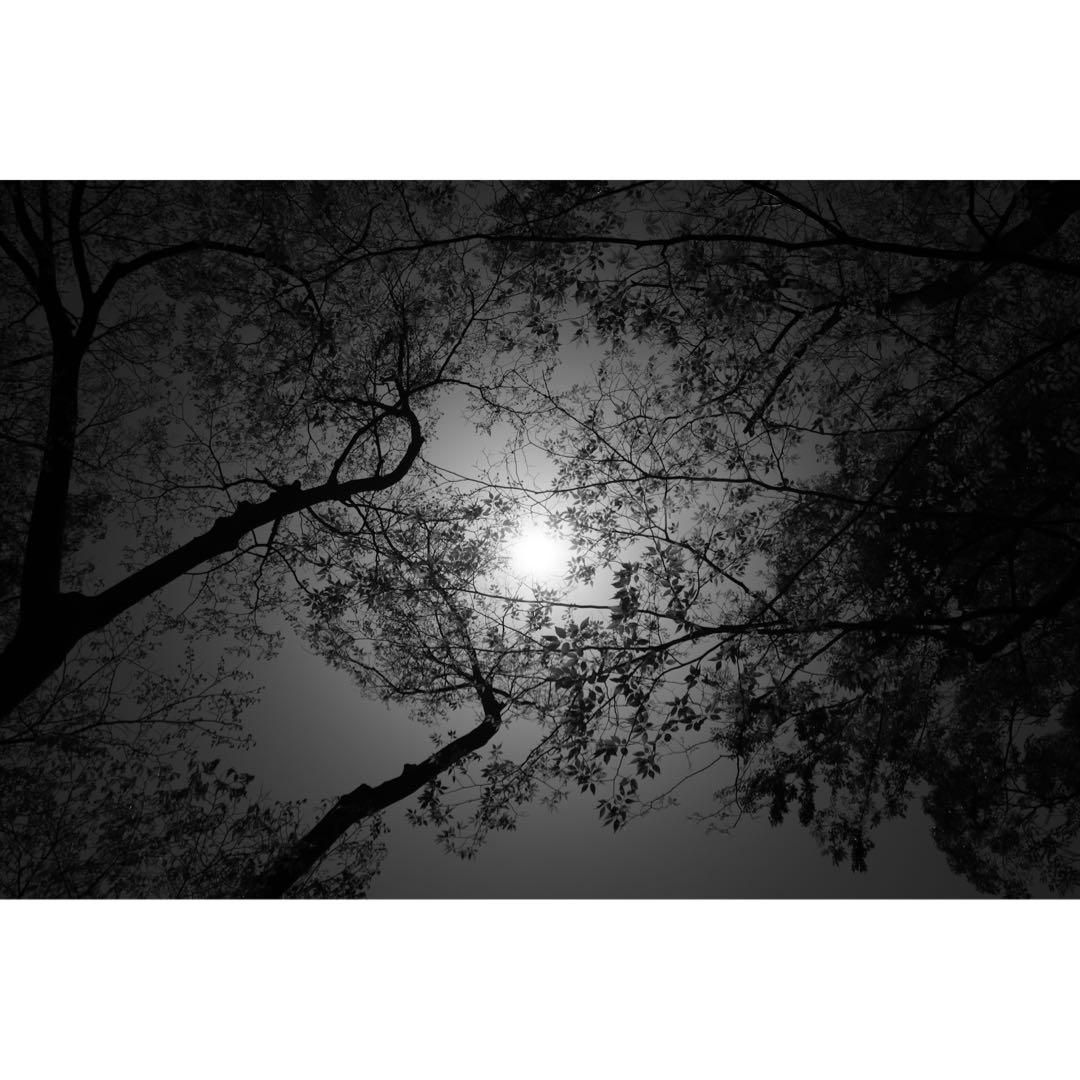 X-pro3 DRシルバー【FUJIFILM】