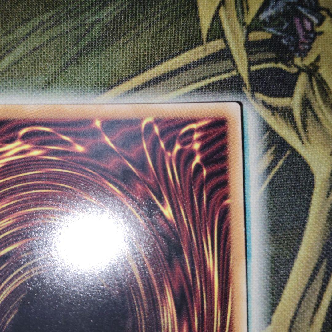 遊戯王 ガーデンローズメイデン プリズマ 絵違い