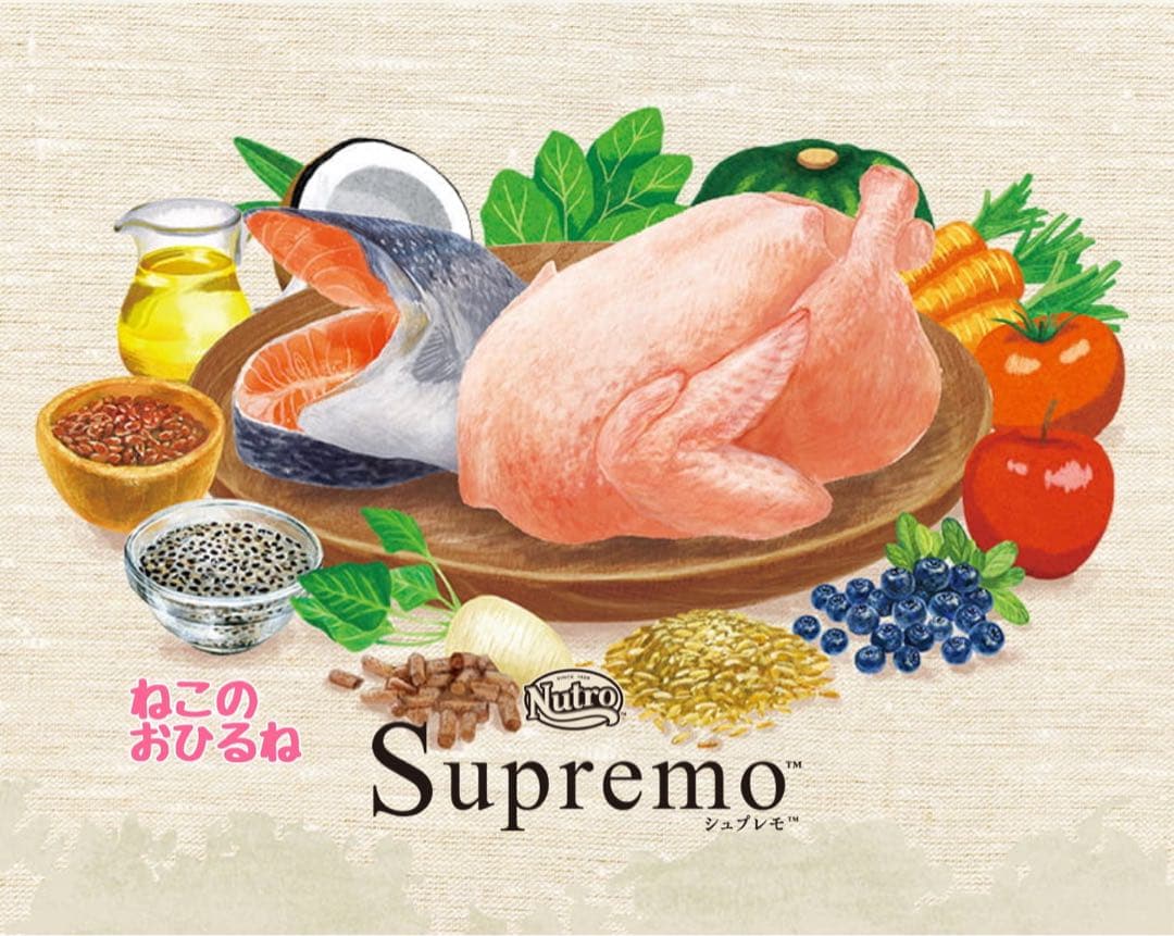 ニュートロ　シュプレモ　成猫用 　チキン&サーモン/白身魚&チキン　3kg×２袋