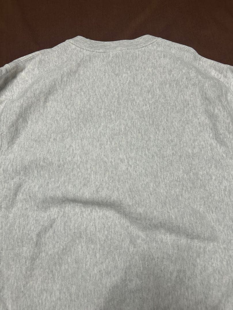 Champion GETTYSBURG大学 リバースウィーブ カレッジプリント