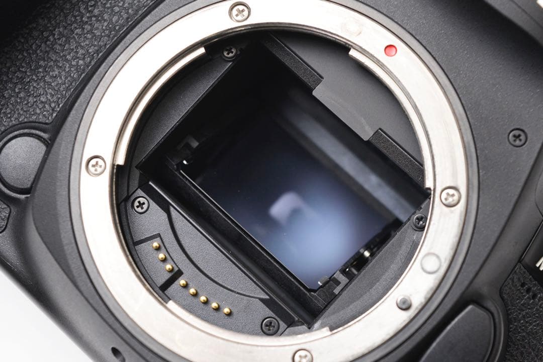 フルサイズCanon EOS 5D Mark IV標準&望遠&単焦点レンズセット