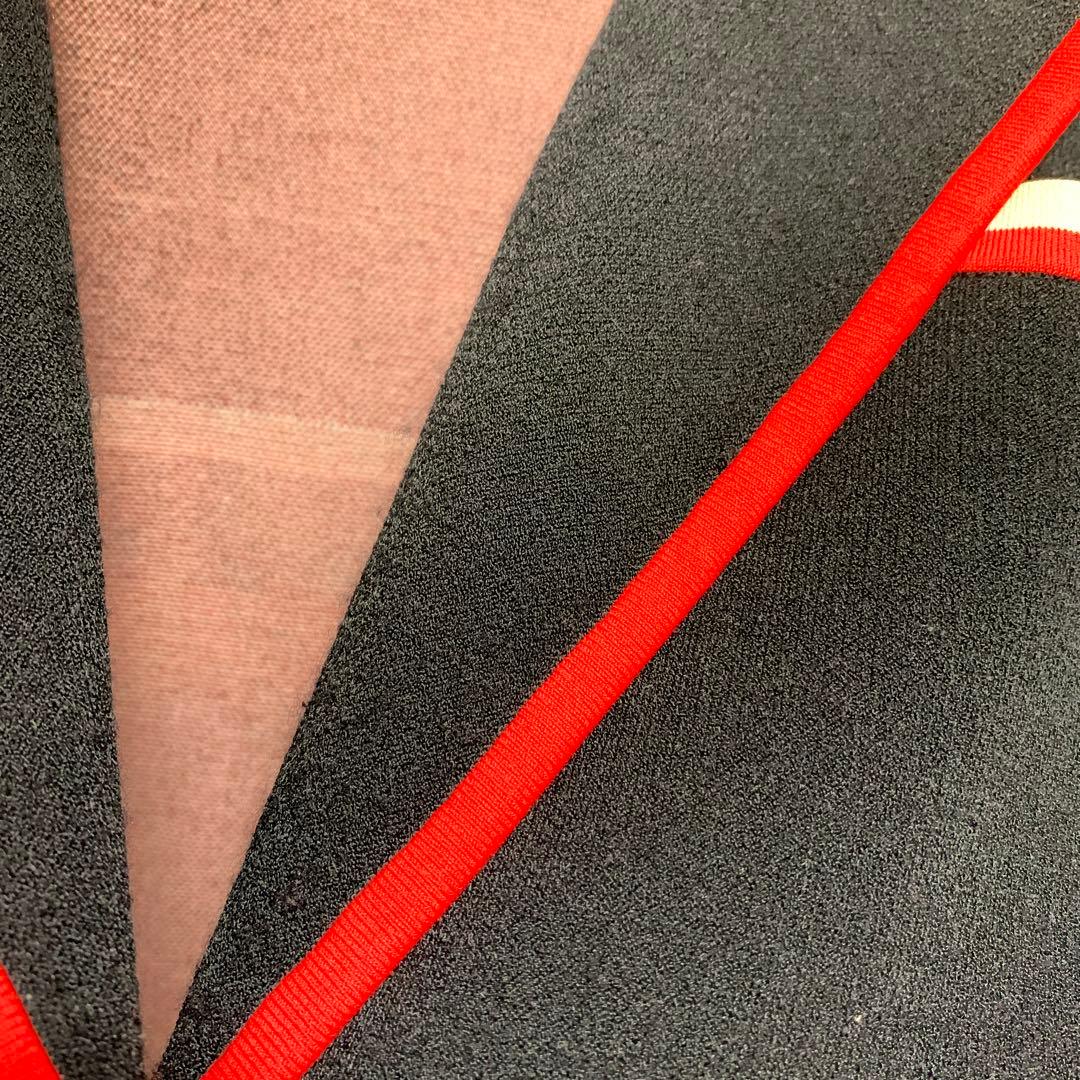 レジーナロマンティコ セレブ 高級 上品 大きいサイズ Anniversary