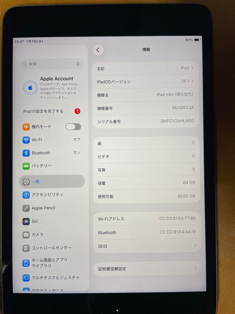 iPad mini5 本体 スペースグレー
