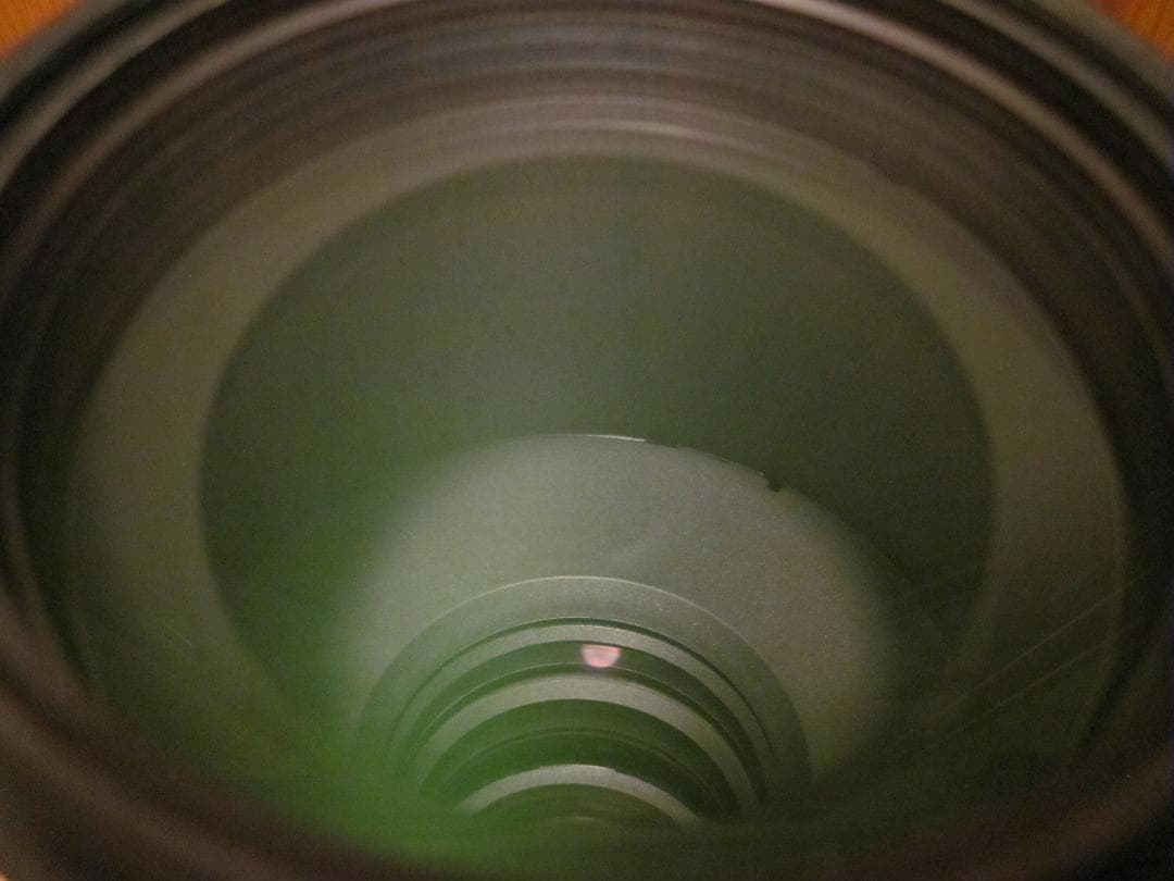 Nikon D500 レンズ 3本 200-500,70-300,18-140他