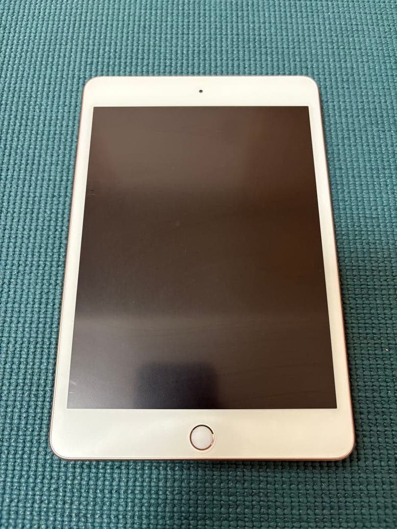 iPad mini 第5世代 WiFi+Cellular 256GB