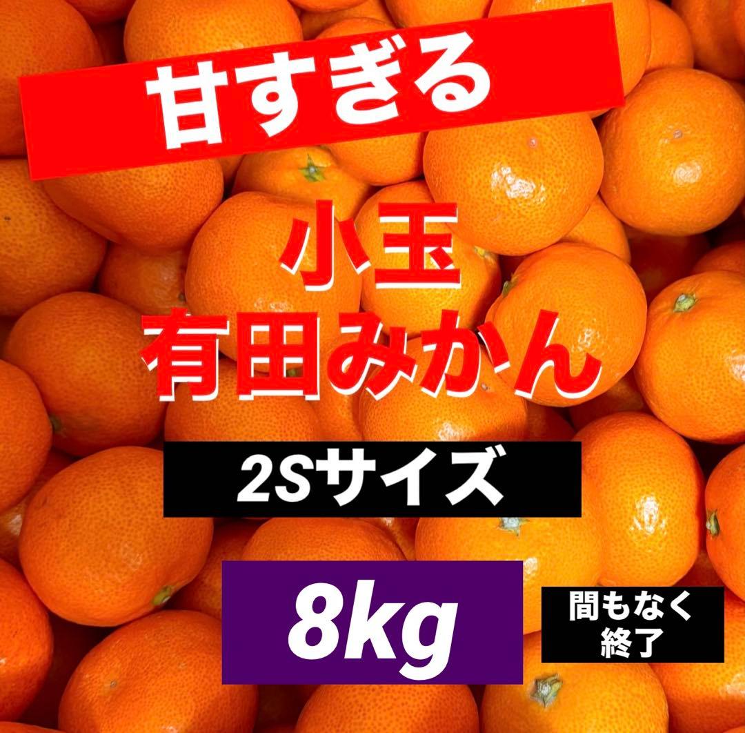 935)数量限定　甘すぎる　有田みかん　果物 　みかん　小玉　旬
