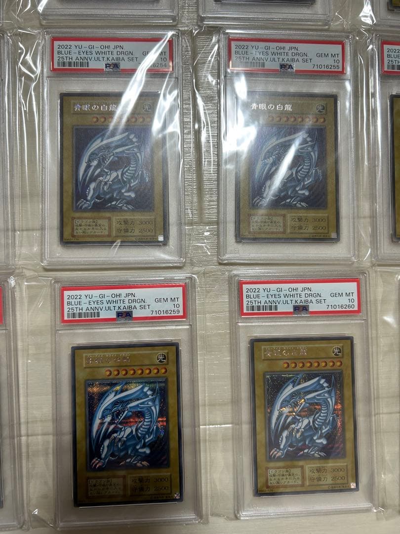 遊戯王　シクブル psa10 青眼の白龍　完美品　20連番　最安値
