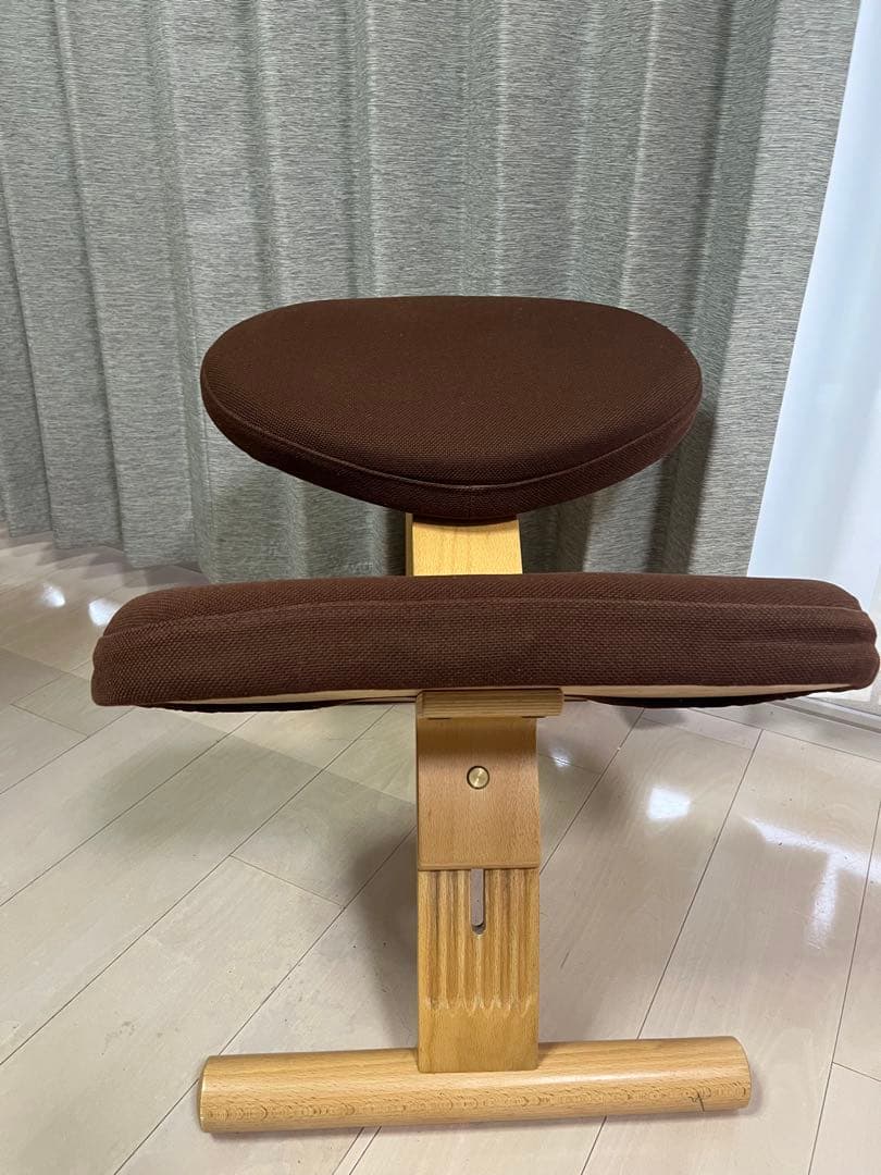 【専用カバー付】サカモトハウス バランスチェア BalansEasy