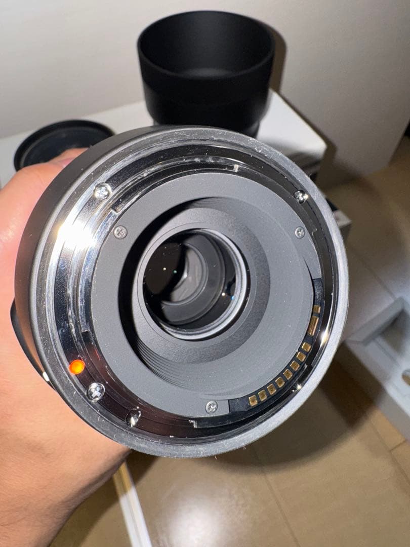 【たけのこ】SIGMA 100-400mm F5-6.3 DG OS